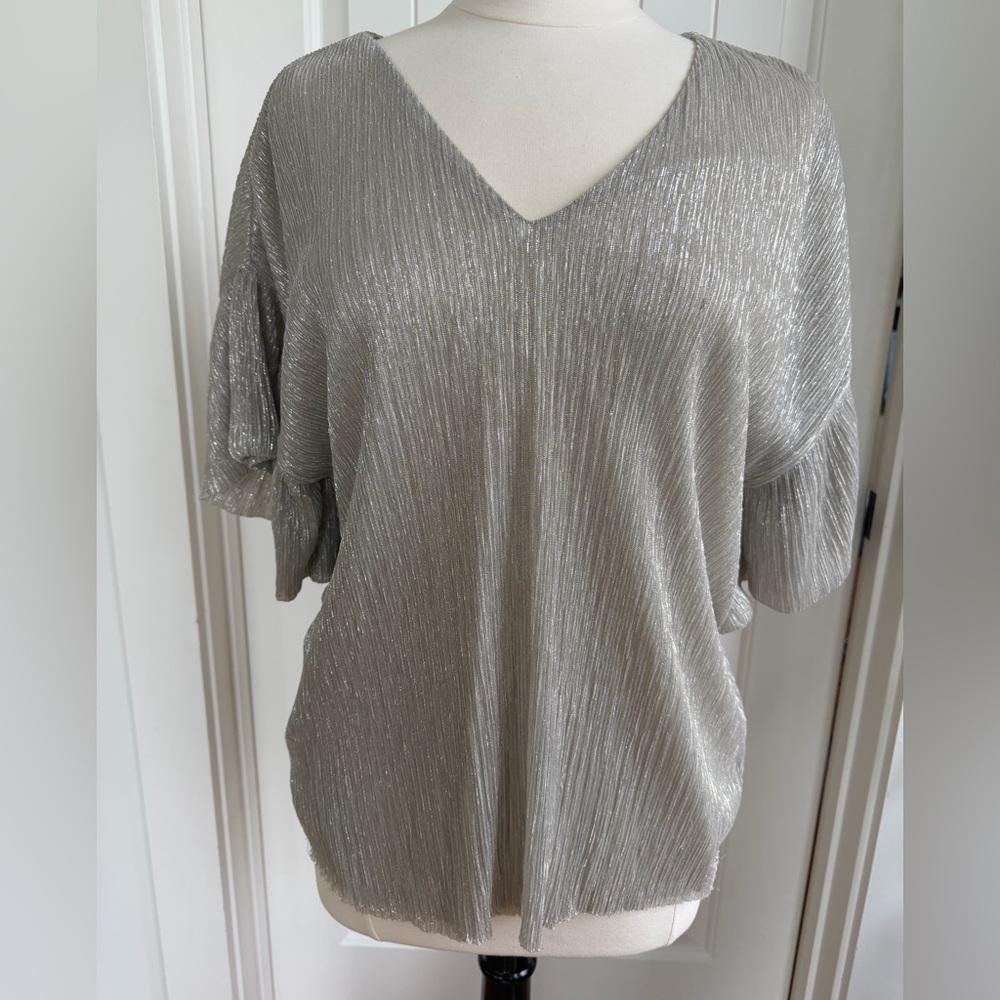 Anthropologie Silver Metallic V-Neck Short Sleeve Top